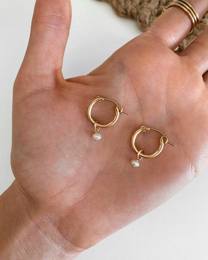 Freshwater Pearl Thick Hoop Earrings - 14k Gold-Filled - Gift Ready - Waterproof | The Littl